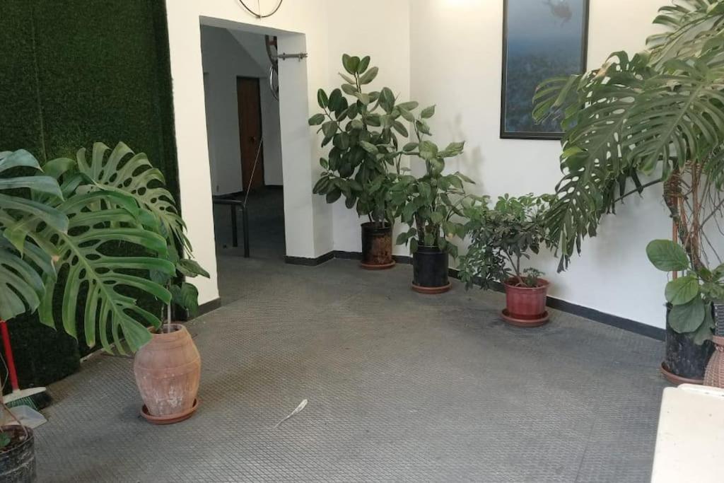 Appartement Pazari_Ri_Studio à Tirana Extérieur photo